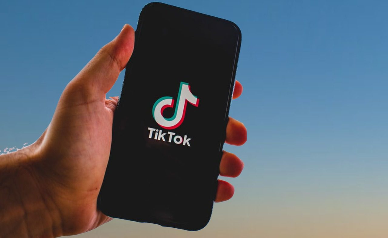 tiktok, tik tok, app, smartphone, iphone, tik tok banned, screen, mobile, technology, nature, sky, tik tok china, palm